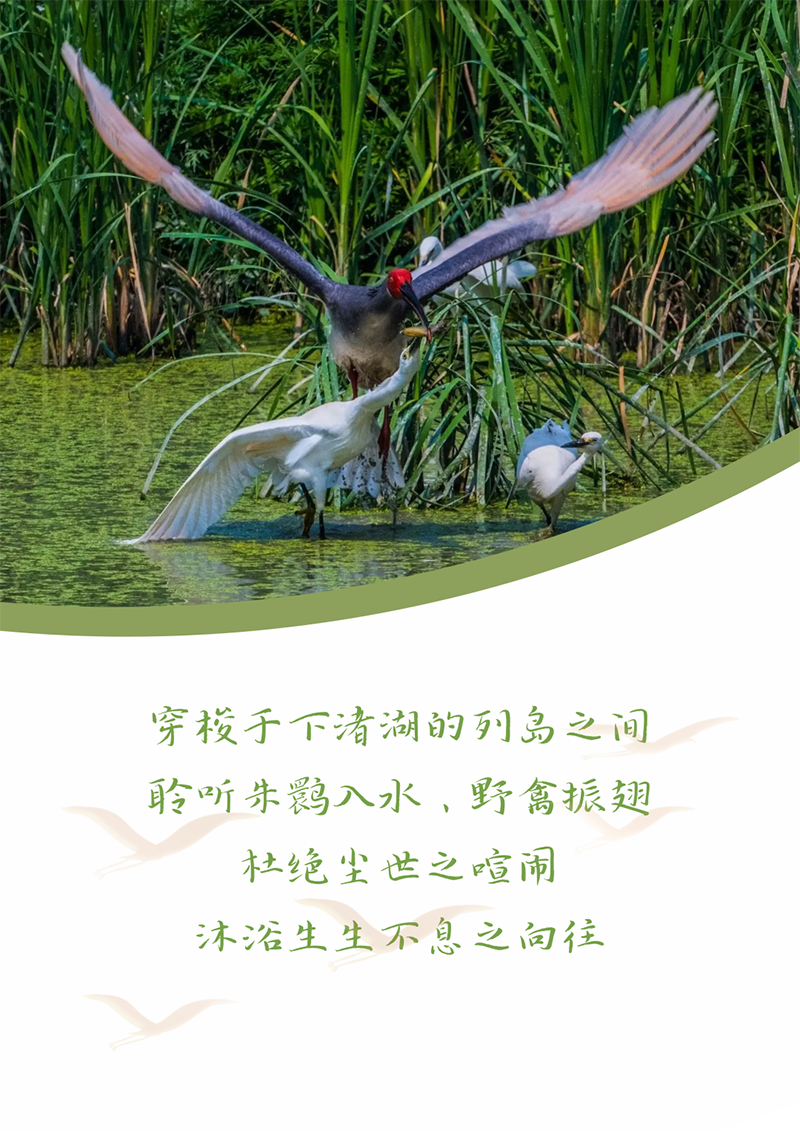 心心想廿 相伴恒峰g22 | 与德清相约 贺廿载生日