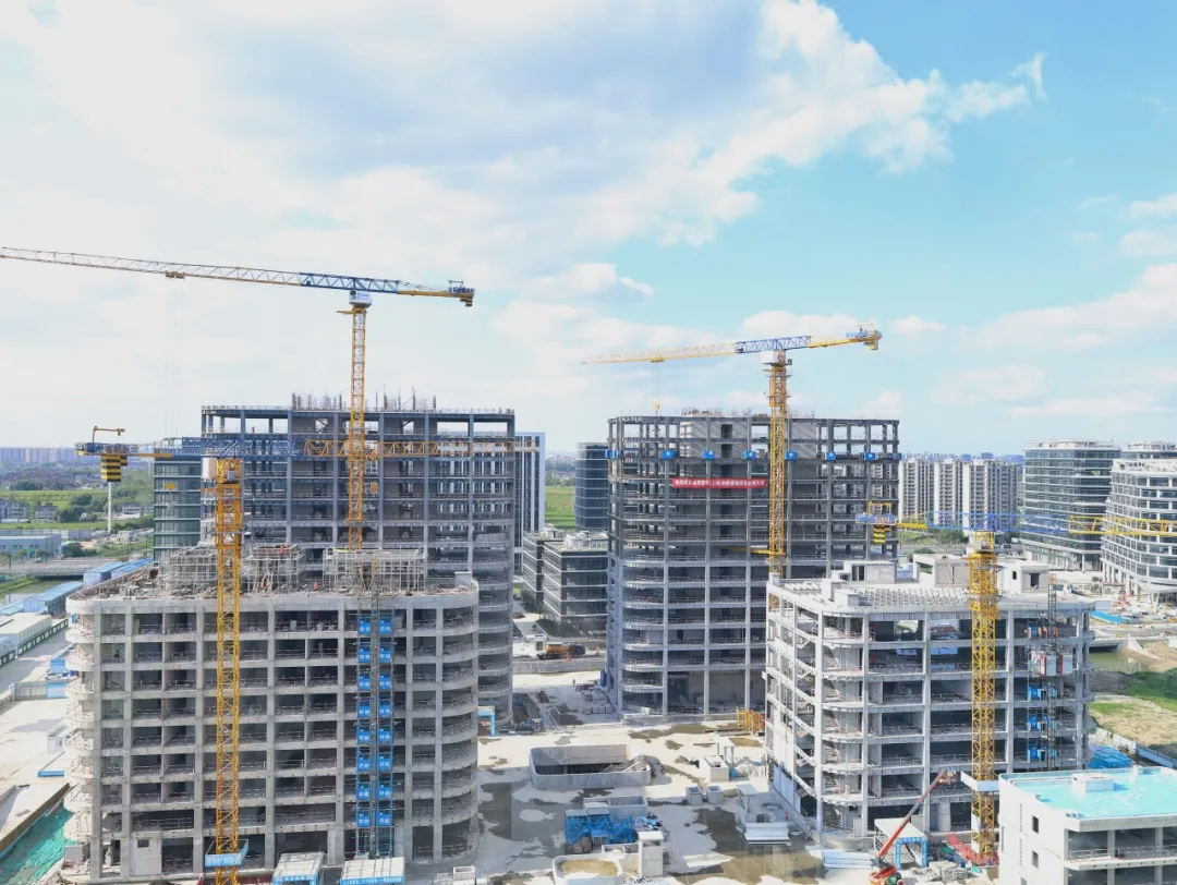 同心同向 造炬成阳 | 恒峰g22股份2024年第三季度动态快览